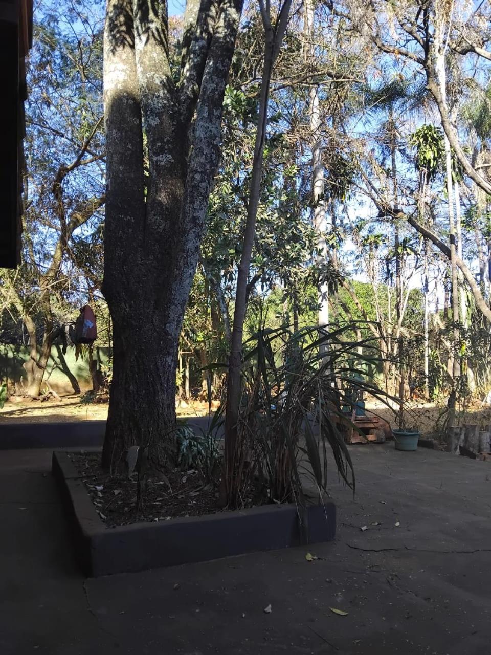 Sitio Bemtevi - Jockey Camping - Uberlandia Villa Buitenkant foto